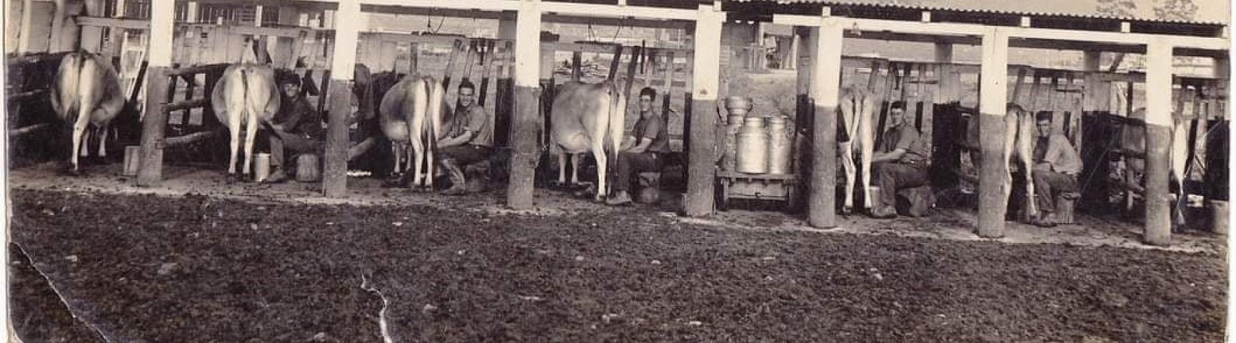 Old school milking website banner